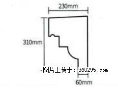 产品分解图型 - 檐口线，型号：SX311-YK-3，规格：230x310mm(3) - 攀枝花三象EPS建材 panzhihua.sx311.cc